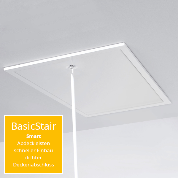 die geschlossene Dachlucke