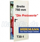 T30-1 H8-5 einflügelige Brandschutztür/ Feuerschutztür Breite 750 mm verschiedene Höhen wählbar