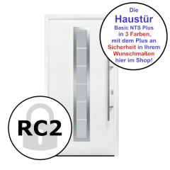 Haustür Basic NTS Plus Motiv 700 in RC2