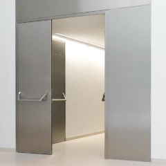 Edelstahlt&uuml;r STS-2 B: bis 2250 mm, H: bis 2855 mm