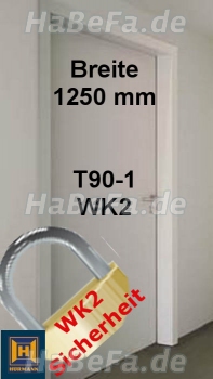 T90-1 H16 OD Brandschutztür RC2/WK2, B: 1250 mm, Höhe wählbar