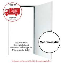 Lagerware: Mehrzweckt&uuml;r Modell D65 OD von H&ouml;rmann, Standradma&szlig;e mit Eckzarge f&uuml;r Mauerwerk und Beton - Lieferung in 4 Tagen  oder Abholung
