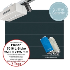 Sektionaltor Steinau Basic Planar 2500 x 2125 mm in 7016 Anthrazitgrau L-Sicke