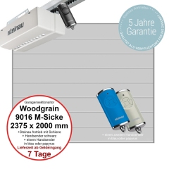 Sektionaltor Steinau Basic Woodgrain 2375 x 2000 mm in RAL 9016 M-Sicke