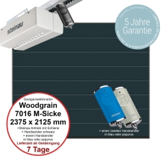 Sektionaltor Steinau Basic Woodgrain 2375 x 2125 mm in RAL 7016 M-Sicke