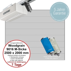 Sektionaltor Steinau Basic Woodgrain 2500 x 2000 mm in RAL 9016 M-Sicke