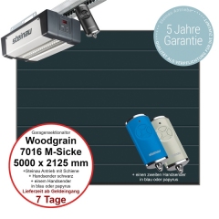 Sektionaltor Steinau Basic Woodgrain 5000 x 2125 mm in RAL 7016 M-Sicke
