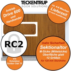 Teckentrup CarTeck 2023 RC2 in Golden Oak