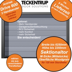 Beispielansicht GSW40 CarTeck bis 6250 x 2250 mm