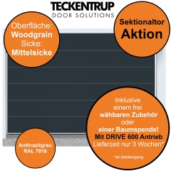 Teckentrup CarTeck 2023 in RAL 7016 Anthrazitgrau