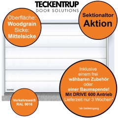 Sektionaltor Teckentrup Woodgrain RAL 9016 mit Antrieb, Handsender und einem Gratiszubehör