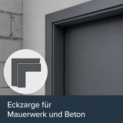 Multifunktion Sicherheitst&uuml;r DW 62-1 mit kurzer Lieferzeit