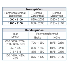 Thermo65 Haustür THP 810 E / NTS Plus 810E
