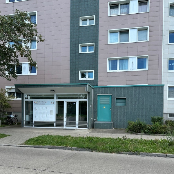 Stahlblech-Mehrzweckt&uuml;r-D65-1-OD